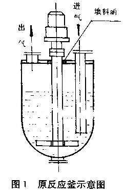 圖1 原搪玻璃反應(yīng)釜示意圖